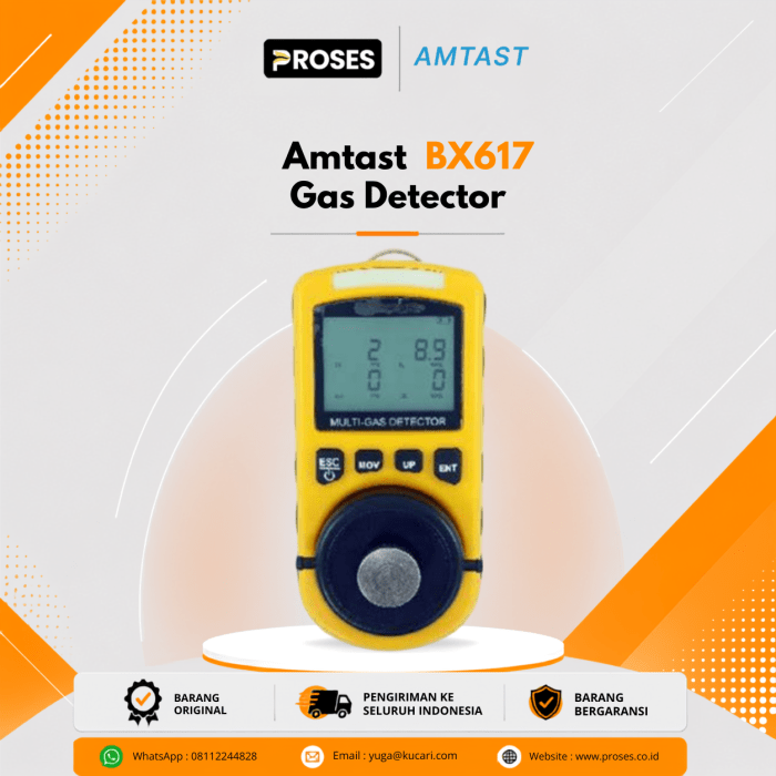 BX617