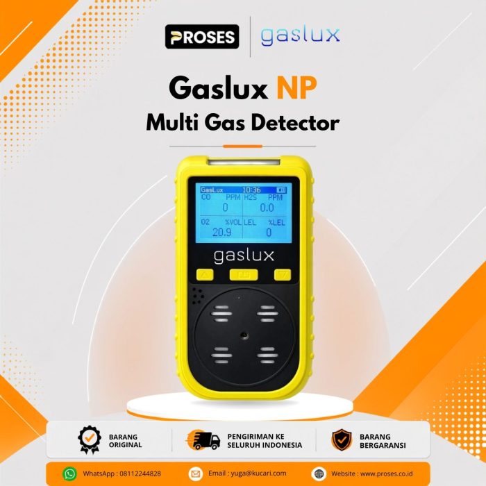 Gaslux NP Multi Gas Detector Gaslux NP Multi Gas Detector