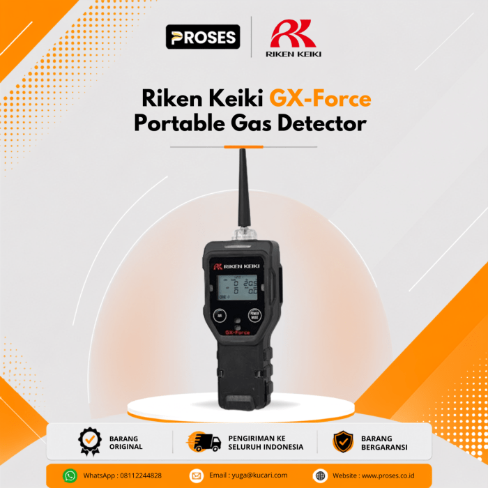 Portable Gas Detector Portable Gas Detector
