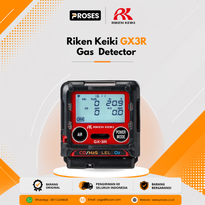 Riken Keiki GX3R Gas Detector