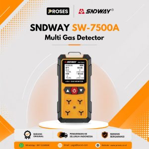 Sndway SW-7500A Gas Detector 4 in 1 CO H2S O2 Ex