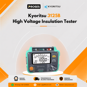 Kyoritsu 3125B High Voltage Insulation Tester