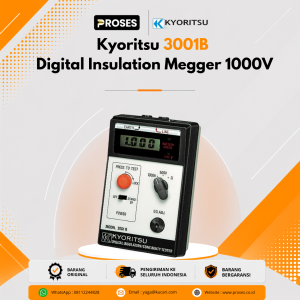 Kyoritsu 3001B Digital Insulation Megger 1000V