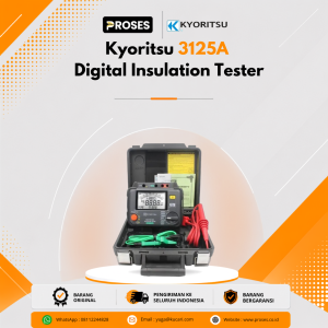 Kyoritsu 3125A Digital Insulation Tester 2