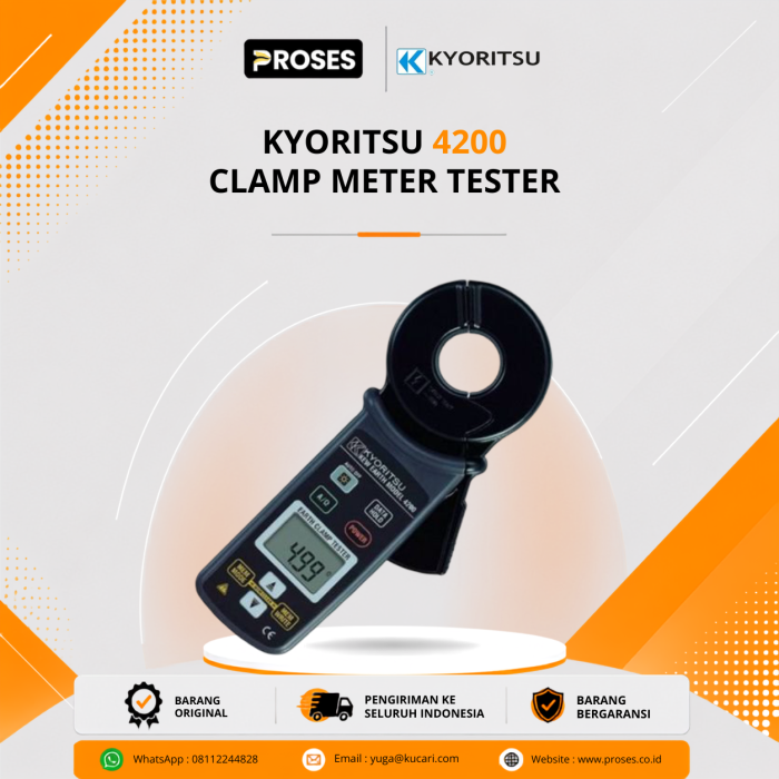 Kyoritsu 4200 Clamp Meter Tester