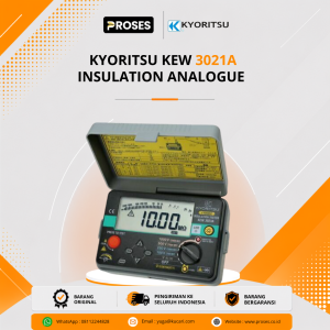 Kyoritsu KEW 3021A Insulation Analogue